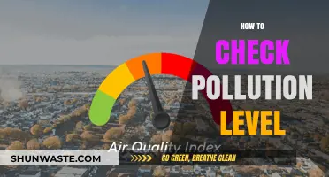 Monitoring Pollution: DIY Methods to Check Levels