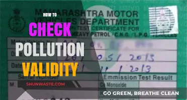 Assessing Pollution Validity: Quick and Easy Methods