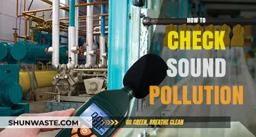 Sound Pollution: Monitoring for a Quieter Life