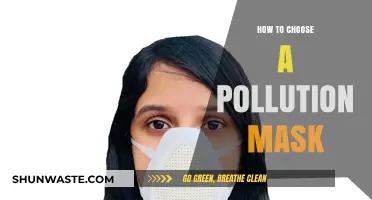 Choose Your Pollution Mask: A Guide
