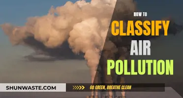 Air Pollution: Classifying the Invisible Threat