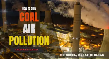 Cleaning Coal: Reducing Air Pollution's Impact