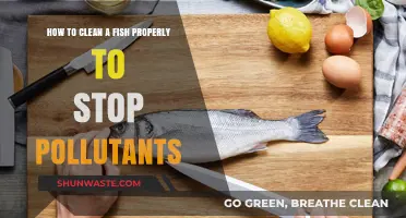 Cleaning Fish: Avoid Pollutants, Master These Techniques