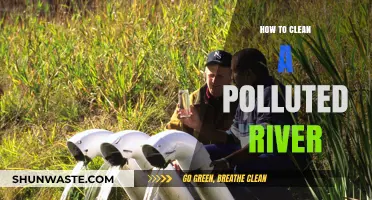 Reviving Polluted Rivers: Effective Cleaning Strategies