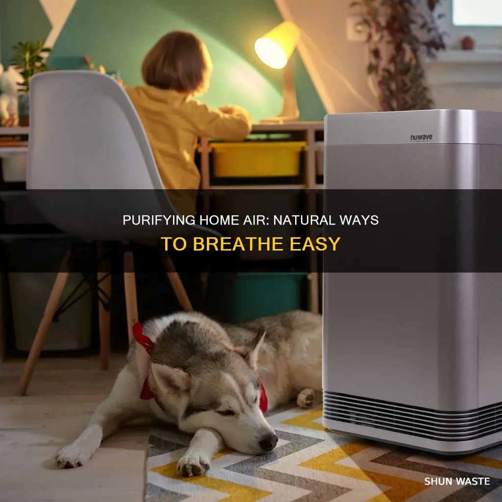 how to clean air pollution at home