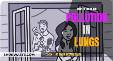 Cleanse Your Lungs: Breathe Easy and Fight Air Pollution