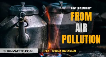 Protect Your Body from Air Pollution: Detox Guide