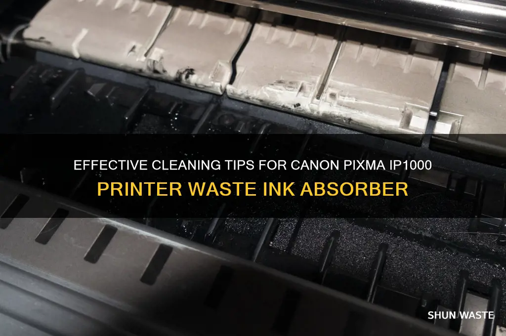 how to clean canon pixma ip1000 printer waste ink absorber