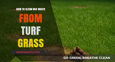 Effective Tips for Removing Dog Waste from Turf Grass Easily