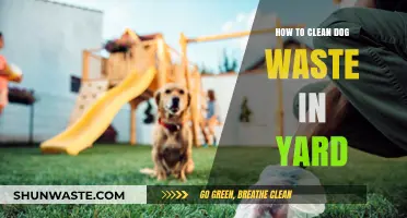 Effective Yard Cleaning Tips: Removing Dog Waste Safely and Easily