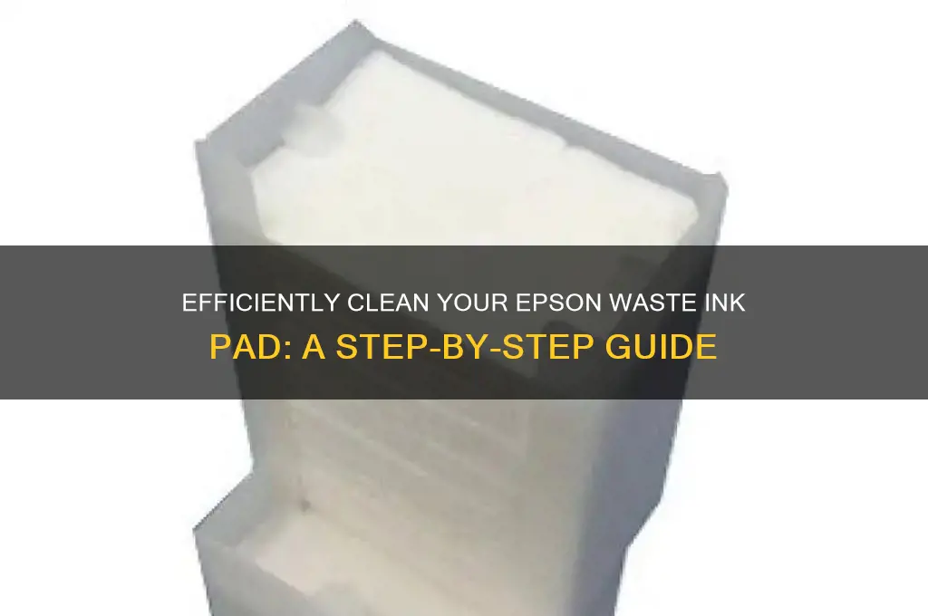 how to clean epson waste ink pad