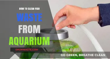Effective Aquarium Cleaning: Removing Fish Waste for a Healthy Tank