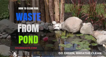 Effective Methods to Remove Fish Waste and Keep Your Pond Clean
