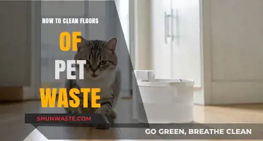 Effective Pet Waste Floor Cleaning Tips for Spotless Homes