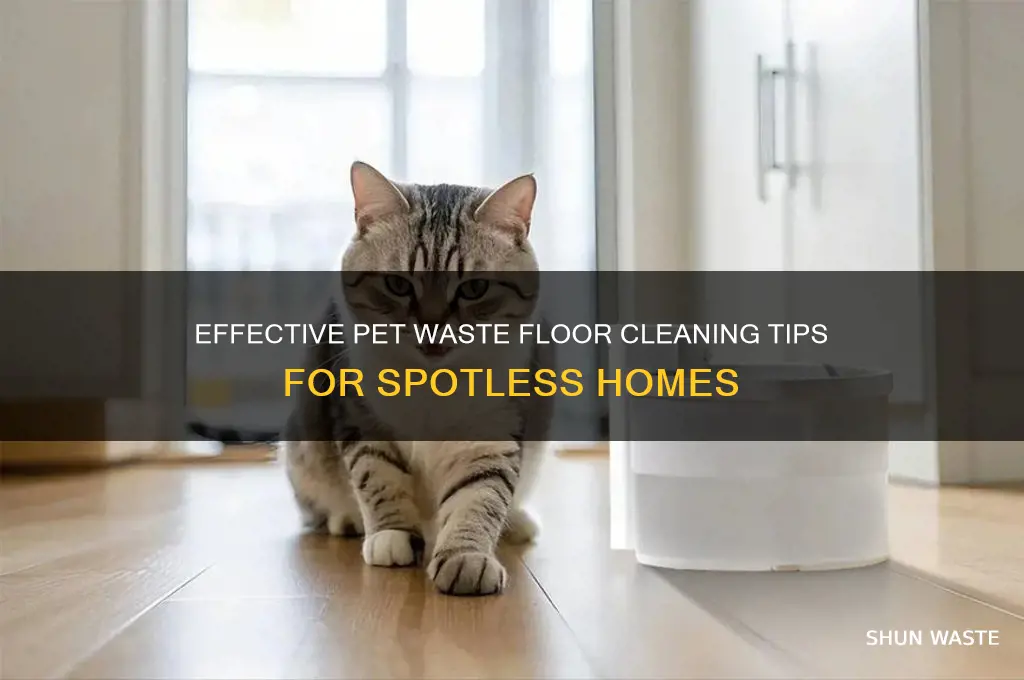 how to clean floors of pet waste