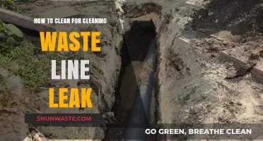 Effective Steps to Clean and Repair a Waste Line Leak