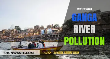 Cleaning Ganga: Strategies to Combat River Pollution