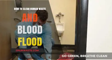 Effective Cleaning Techniques for Human Waste and Blood Spill Cleanup