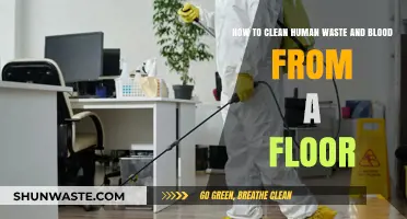 Effective Floor Cleaning: Removing Human Waste and Blood Safely