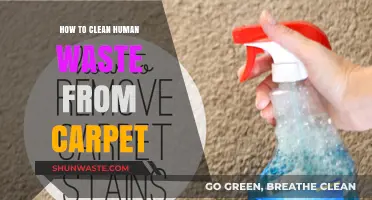Effective Steps to Remove Human Waste Stains from Carpet