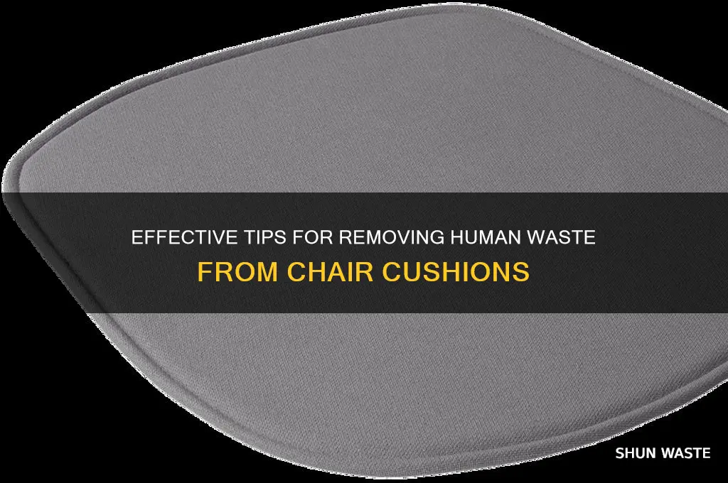 how to clean human waste from chair cushio