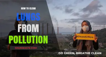 Breathe Easy: Clean Your Lungs from Pollution