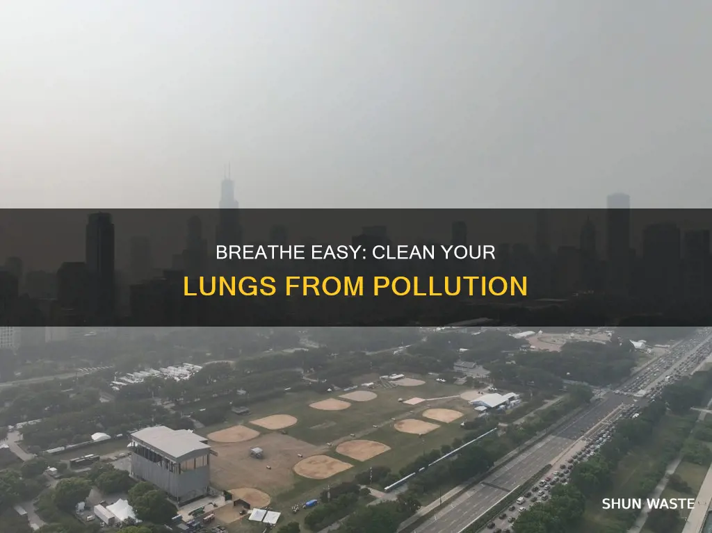 how to clean lungs from pollution