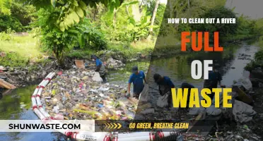 Reviving Rivers: Effective Strategies to Remove Waste and Restore Ecosystems