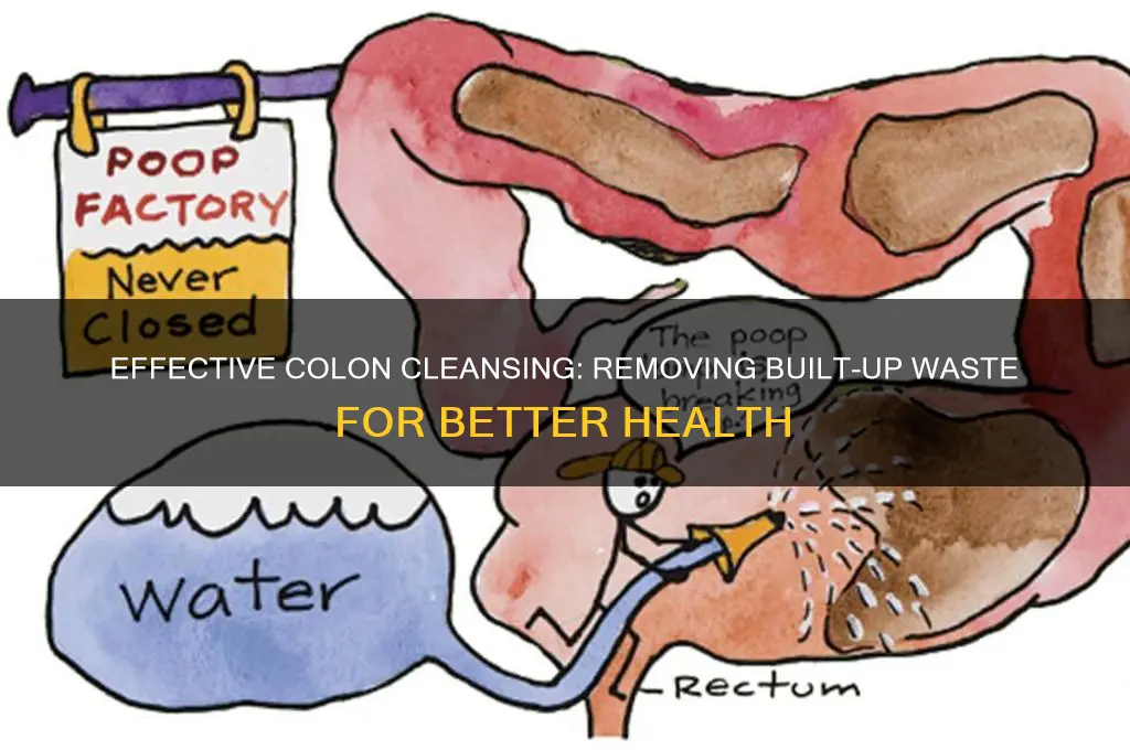 how to clean out built up waste in colon