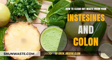 Effective Ways to Detox Your Intestines and Colon Naturally