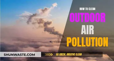 Clear the Air: Simple Steps to Reduce Outdoor Pollution