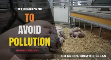 Keep Your Pig Pen Clean, Avoid Pollution
