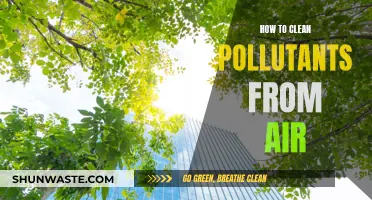 Purifying Polluted Air: Effective Strategies for Cleaner Breathing
