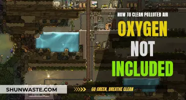 Clean Polluted Air in Oxygen: Natural Solutions for Fresh Air