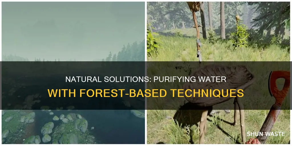 how to clean polluted water the forest