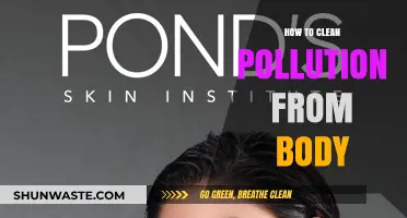 Detoxing Your Body from Pollution