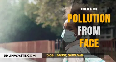 Protect Your Skin: Clean Pollution from Your Face