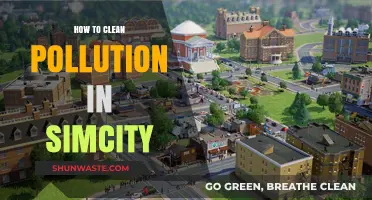 SimCity Pollution: Strategies for a Cleaner City