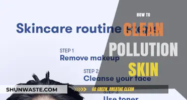 Combat Pollution: Clean Skin, Simple Steps