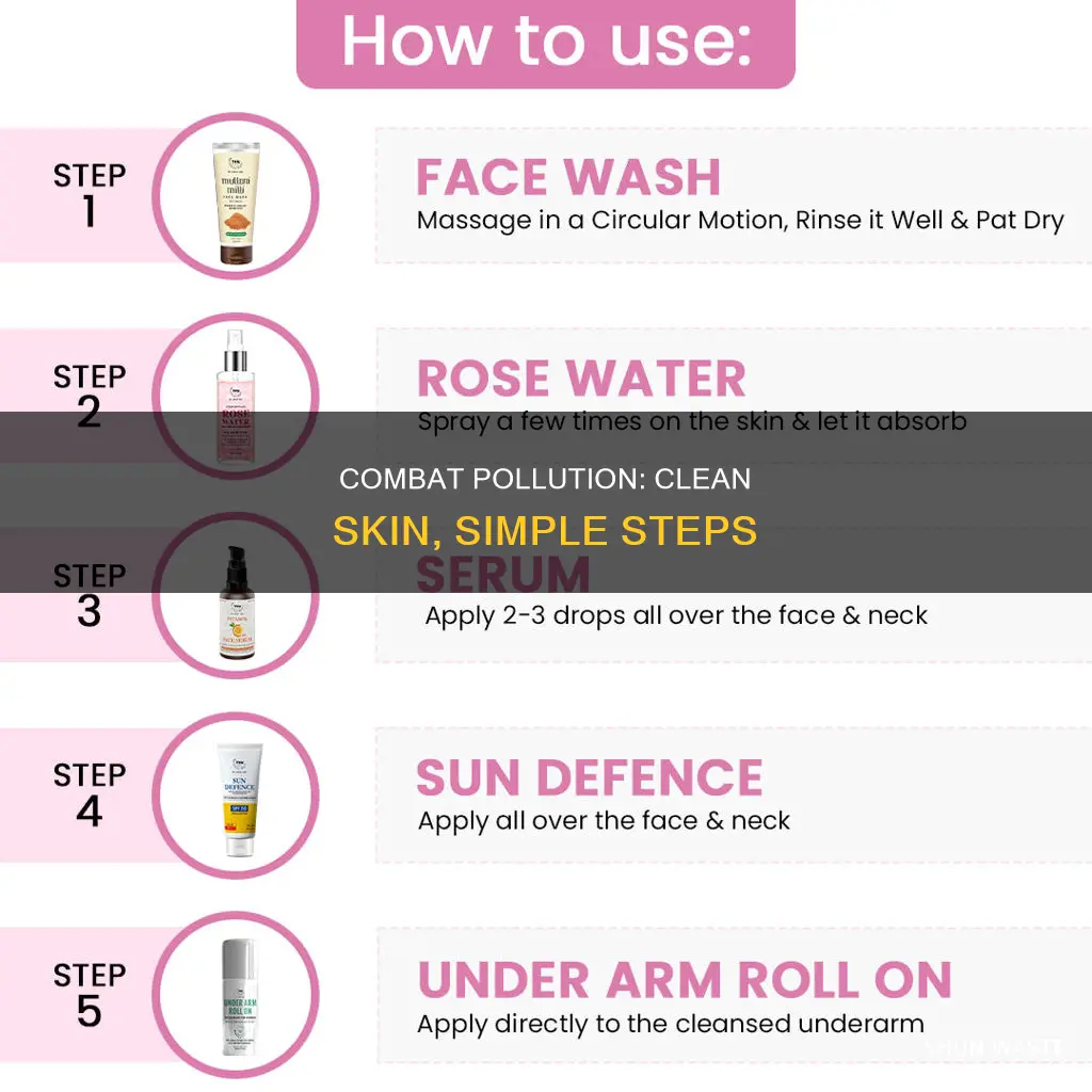 how to clean pollution skin