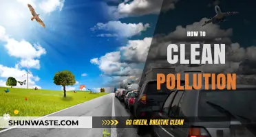 Cleaning Pollution: Strategies for a Greener Tomorrow