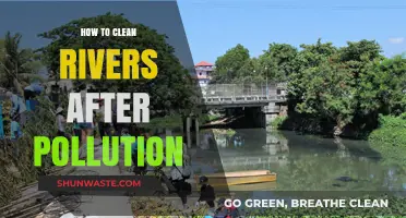 Restoring Rivers: Cleaning and Revitalizing After Pollution