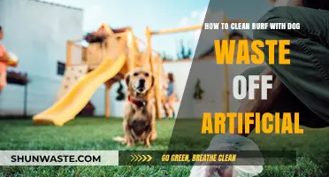 Effective Tips for Removing Dog Waste from Artificial Turf