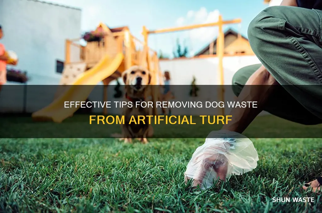 how to clean rurf with dog waste off artificial