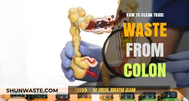 Effective Colon Cleanse: Safely Removing Toxic Waste for Optimal Health
