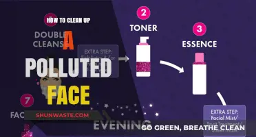 Revitalize Your Skin: Clean Up Polluted Skin