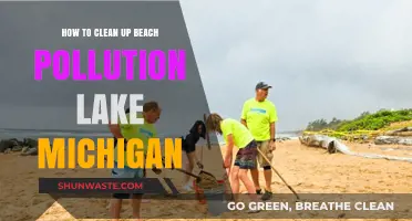 Cleaning Lake Michigan: Beach Pollution Solutions