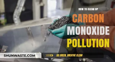 Carbon Monoxide Cleanup: Strategies for a Toxic-Free Environment