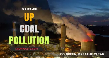 Cleaning Coal Pollution: Innovative Solutions for a Greener Future
