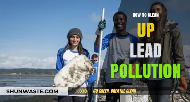 Eradicating Lead Pollution: Effective Cleanup Strategies